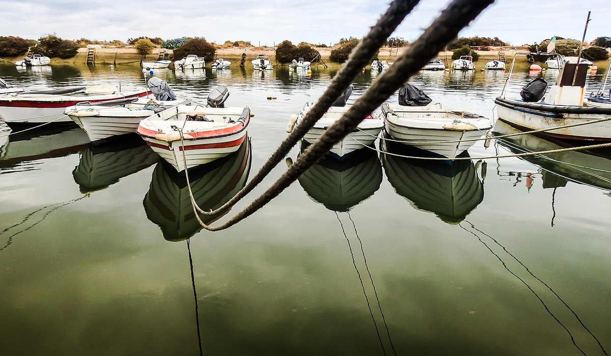 Choosing the Right Life Jacket for Family Boating