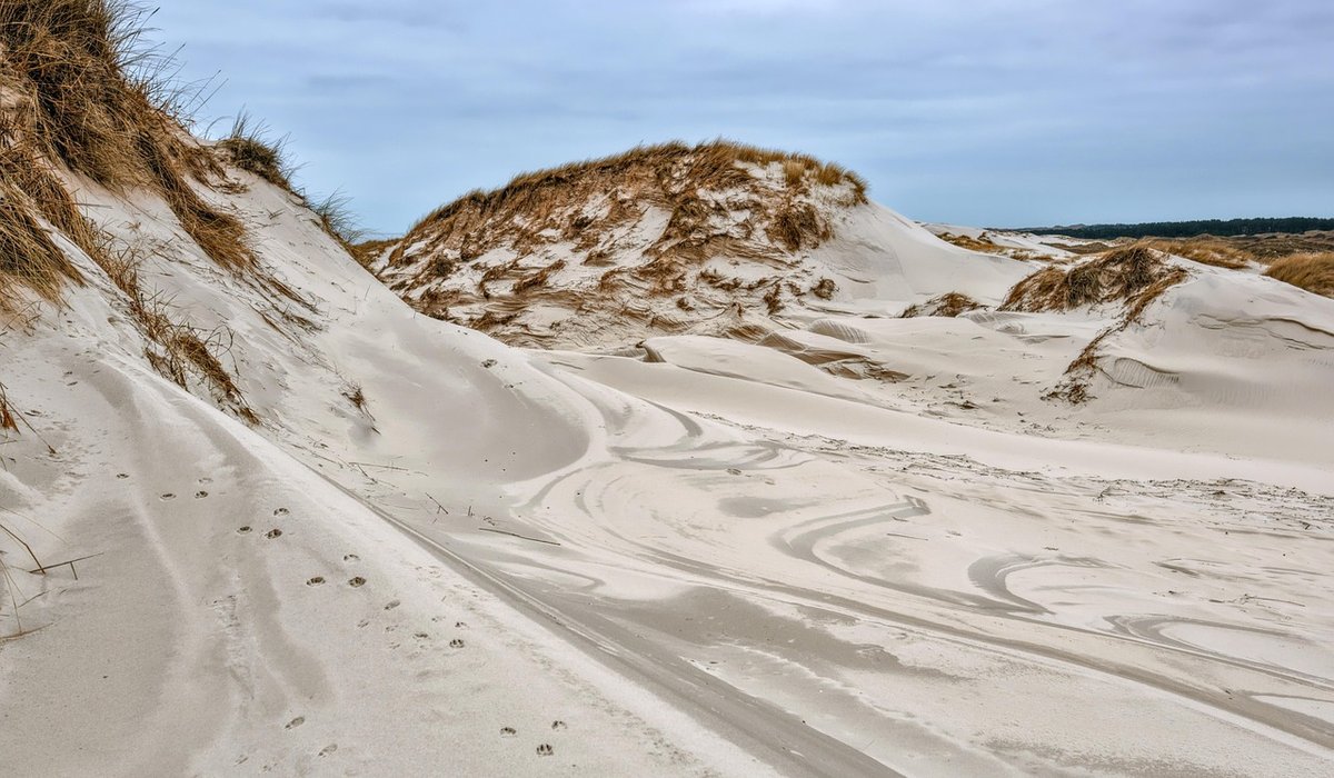 Choosing Weatherproof Paint for Seaside Exteriors